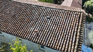 Quelle est la meilleure période pour nettoyer sa toiture dans le Gard ?